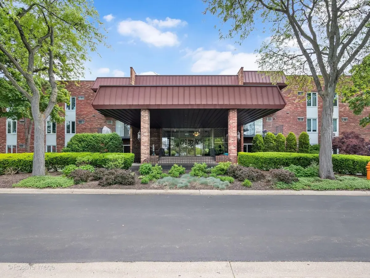 1121 W Ogden Avenue #253, Naperville, IL 60563 - #1