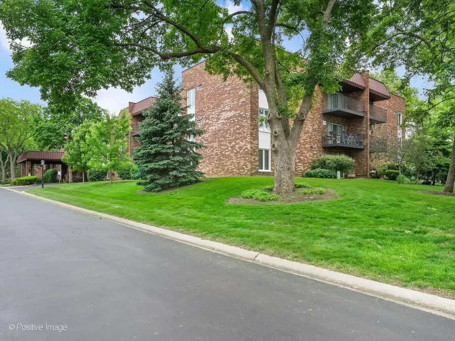 1121 W Ogden Avenue #253, Naperville, IL 60563 - #2