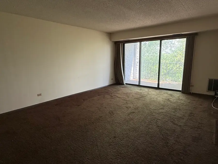 350 Plum Creek Drive #308, Wheeling, IL 60090 - #2