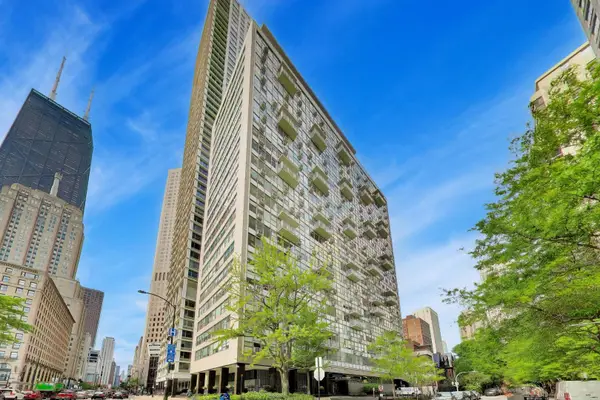 1000 N Lake Shore Drive #2205, Chicago, IL 60611