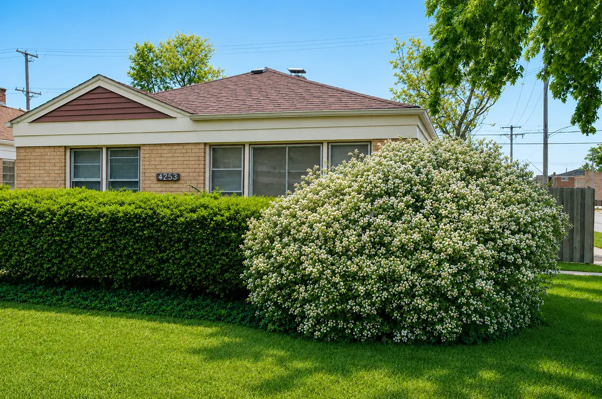 4253 Prescott Avenue, Lyons, IL 60534 - #1