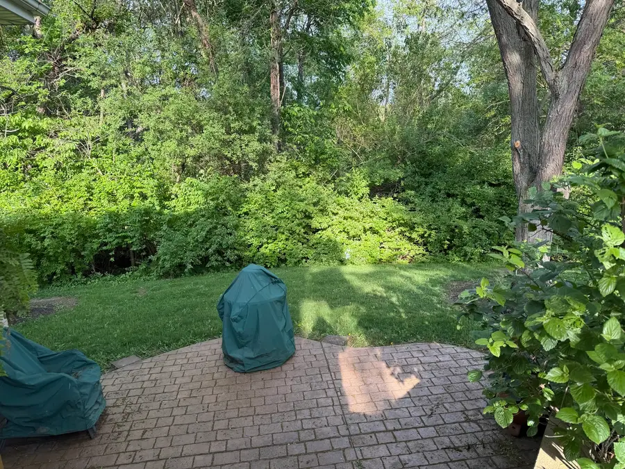 315 E Fox Street, Yorkville, IL 60560 - #2