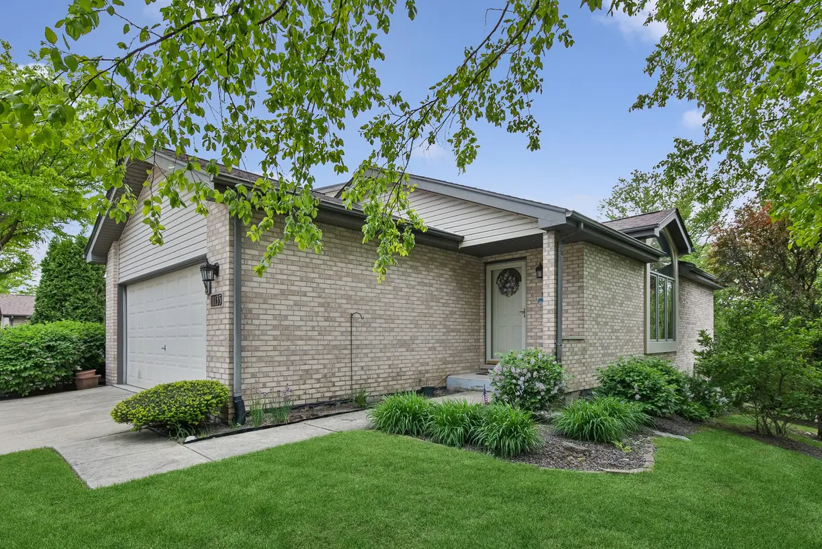 11135 Shenandoah Drive, Orland Park, IL 60467 - #1