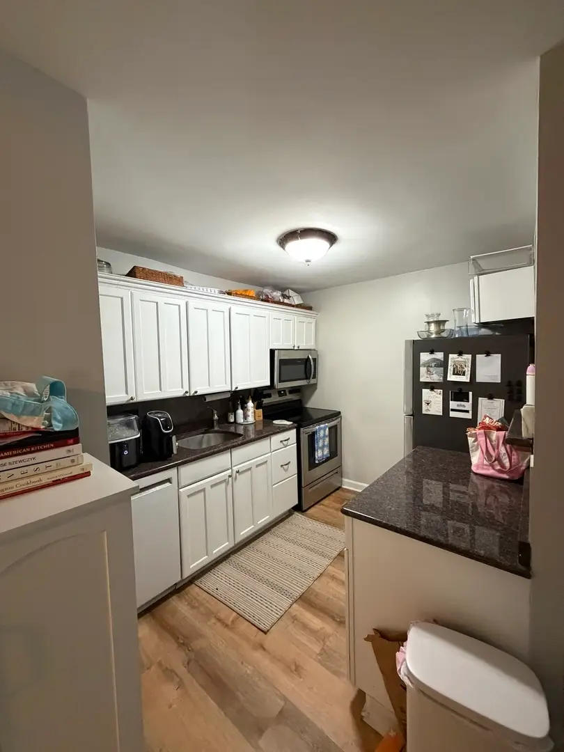 100 E Walton Street #14F, Chicago, IL 60611 - #3