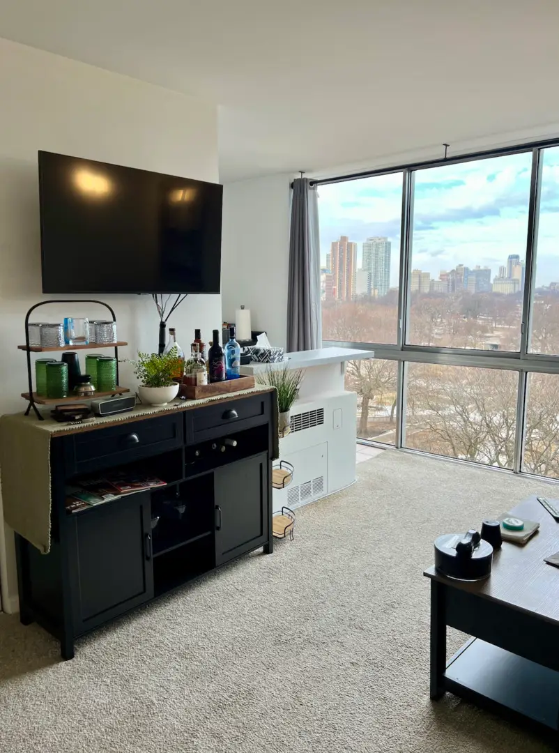 1555 N Dearborn Parkway #8C, Chicago, IL 60610 - #3
