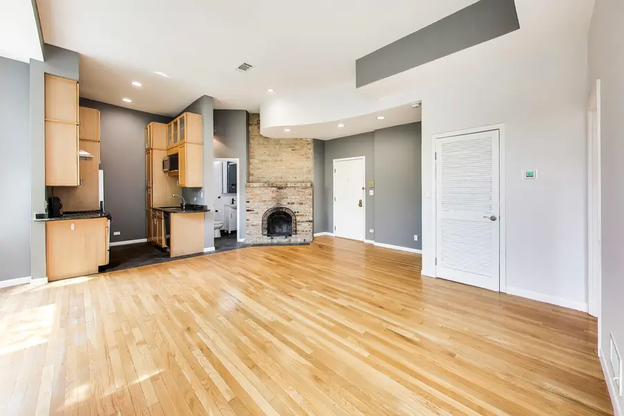 223 W Wisconsin Street #2D, Chicago, IL 60614 - #3
