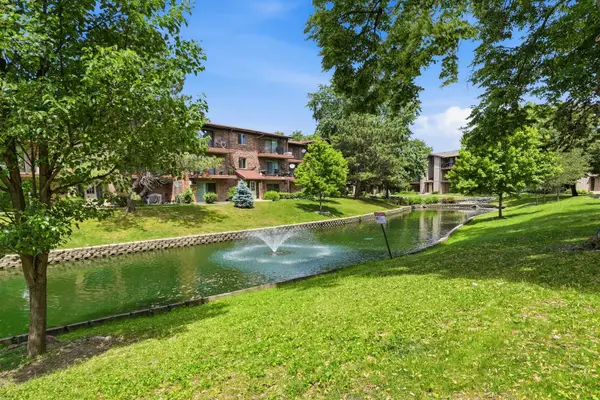 2512 Waterbury Drive #705, Woodridge, IL 60517