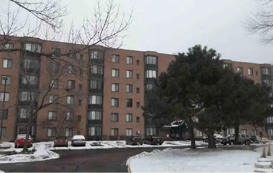 606 E Woodland Avenue #211, Chicago, IL 60616 - #2