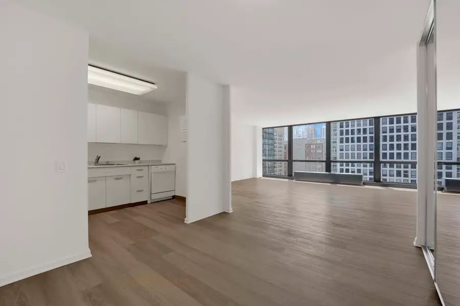 900 N Lake Shore Drive #1706, Chicago, IL 60611 - #2