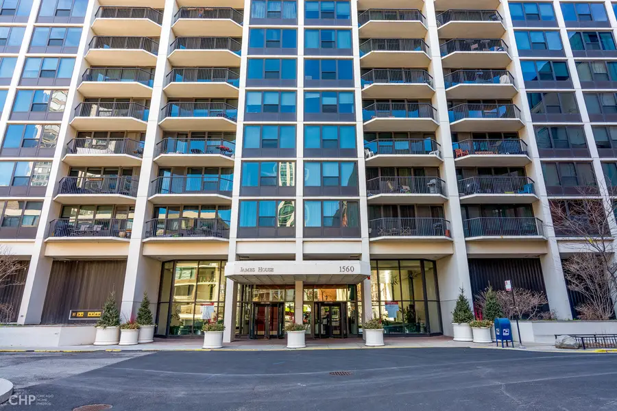 1560 N Sandburg Terrace N #1405, Chicago, IL 60610 - #3