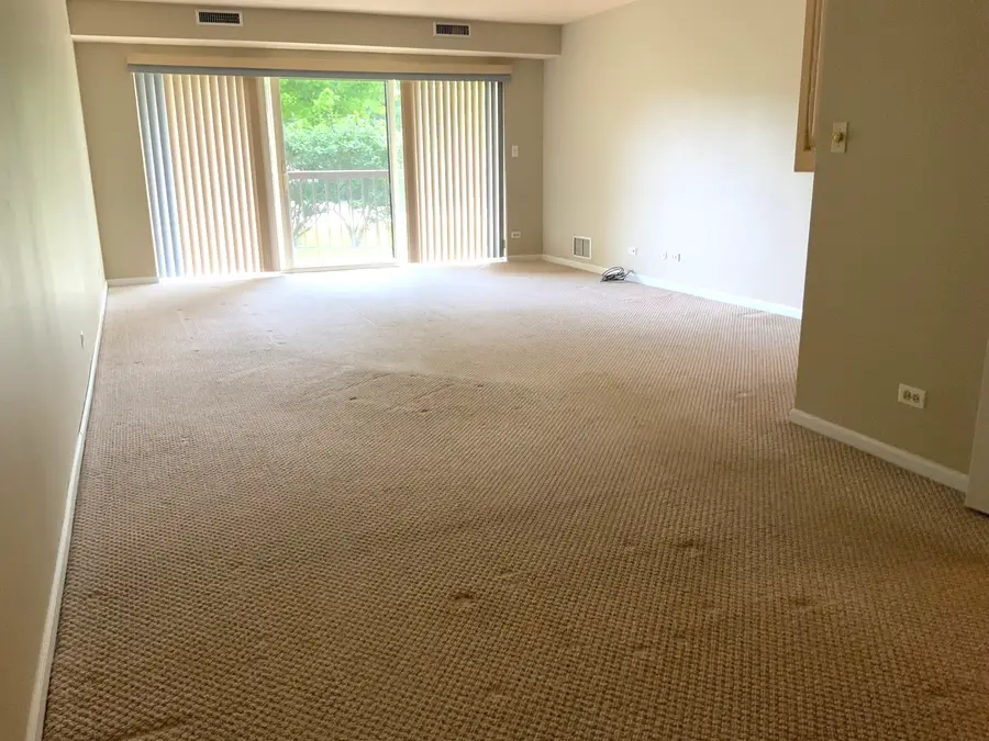 1103 N Mill Street #109, Naperville, IL 60563 - #3