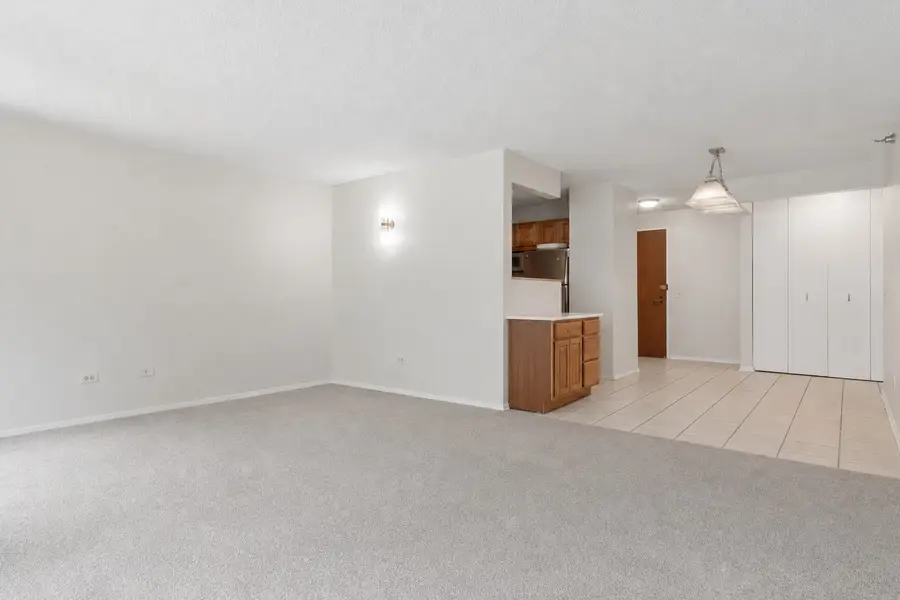 480 N Mcclurg Court #413, Chicago, IL 60611 - #3