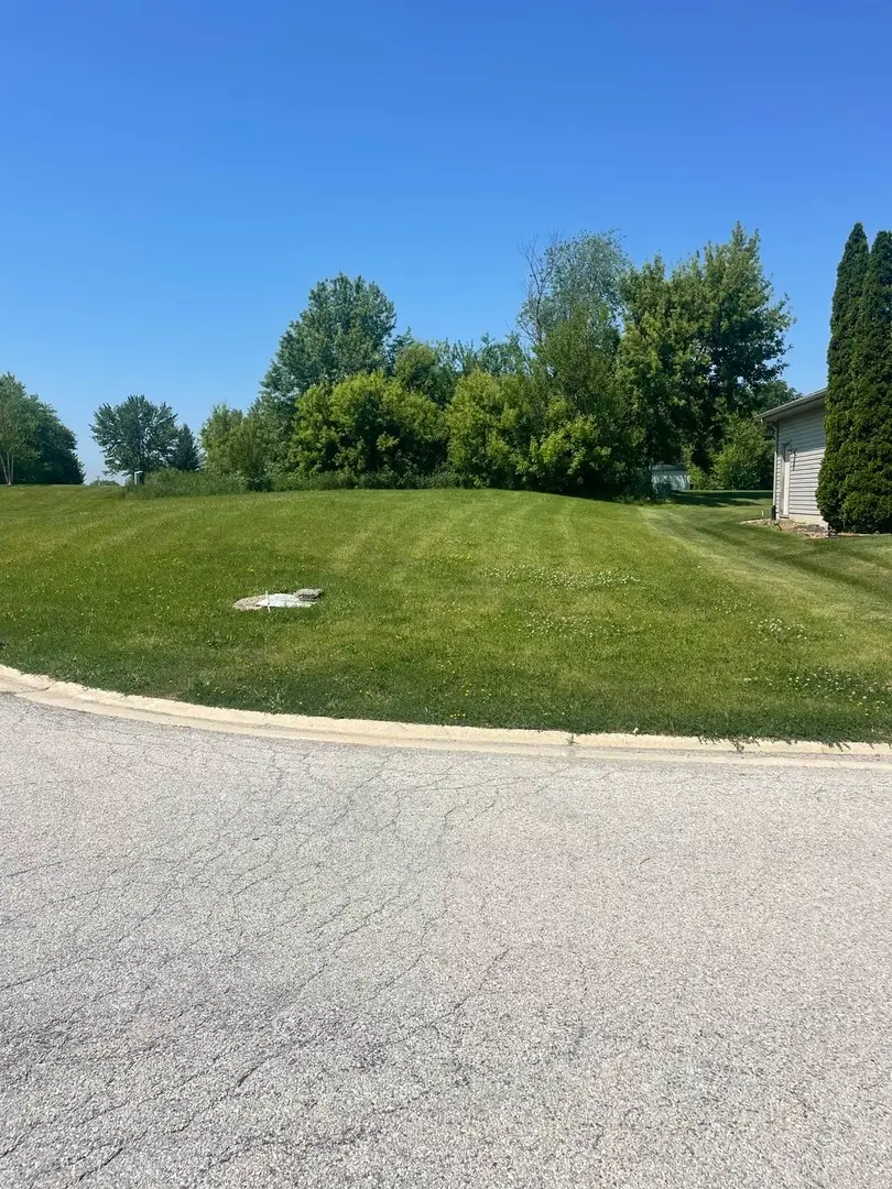 321 Pine Street, Beecher, IL 60401 - #1