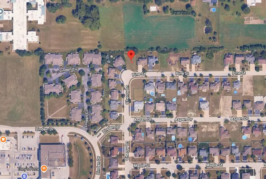 321 Pine Street, Beecher, IL 60401 - #2