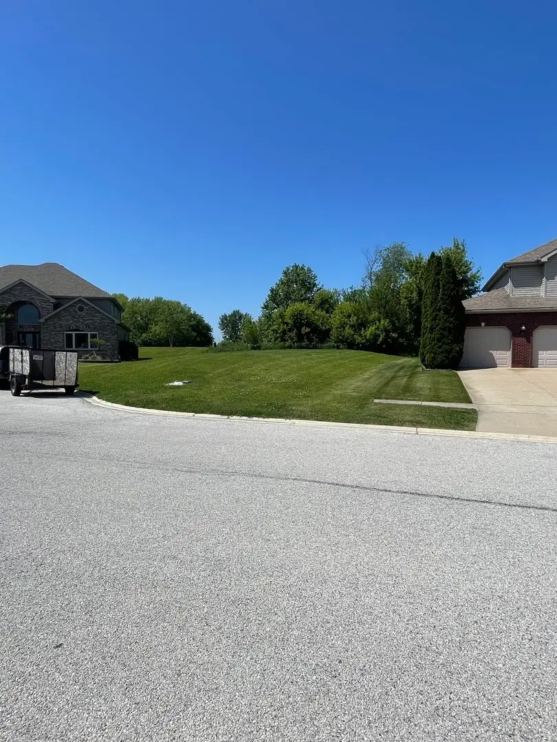 321 Pine Street, Beecher, IL 60401 - #3