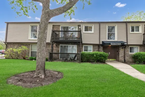 268 N Carter Street #201, Palatine, IL 60067