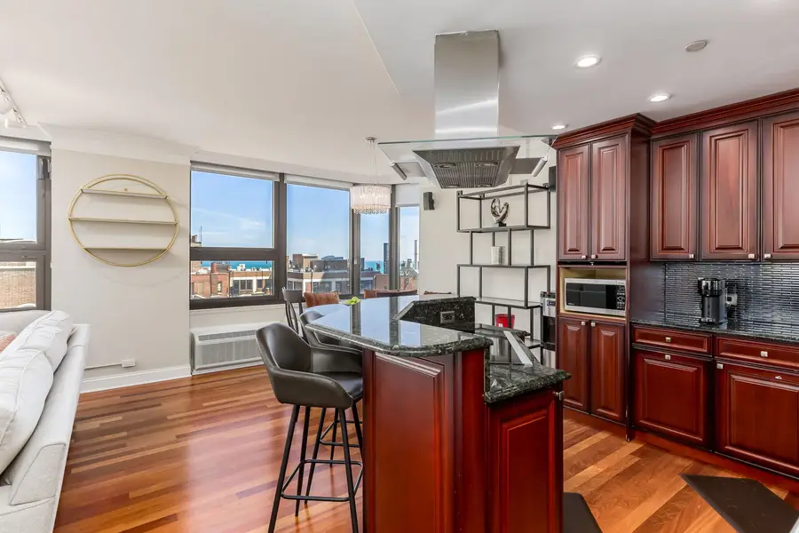 221 E Walton Place #14B, Chicago, IL 60611 - #2