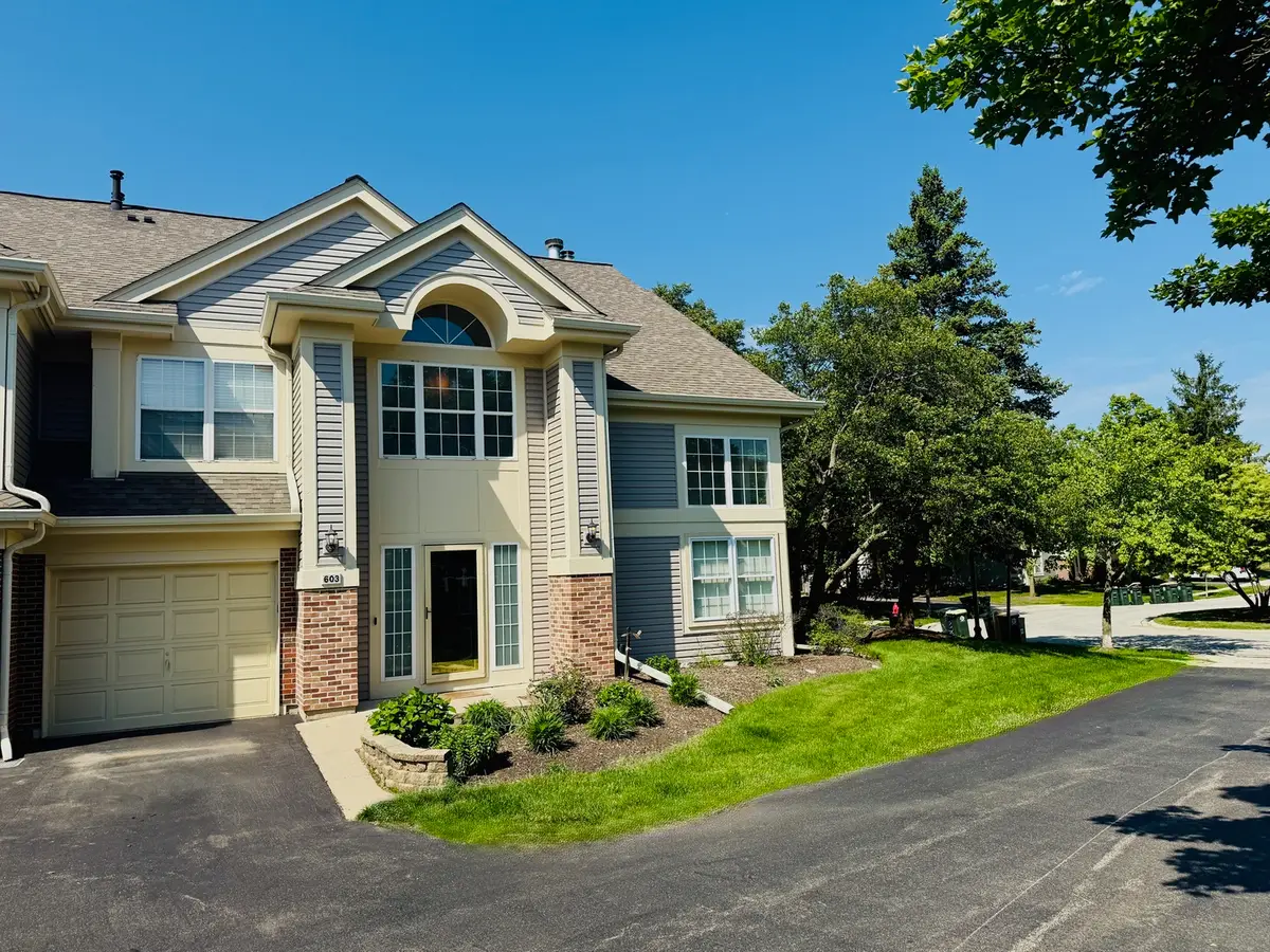 603 Stone Brook Court, Elk Grove Village, IL 60007 - #1