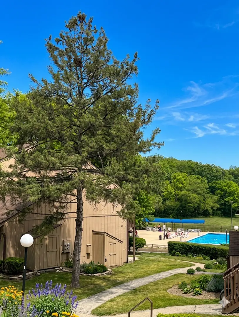 44 Nassau Colony #4, Fox Lake, IL 60020 - #2