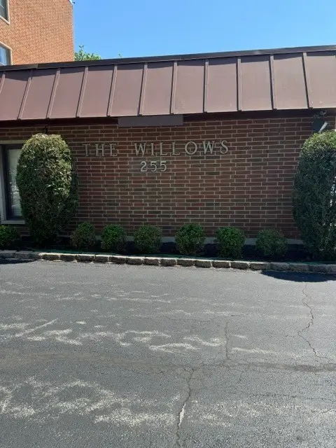 255 S West Avenue #305, Elmhurst, IL 60126 - #1