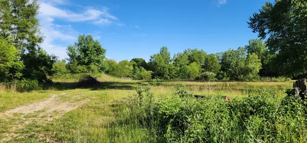 574 Caleb Road, Braidwood, IL 60408