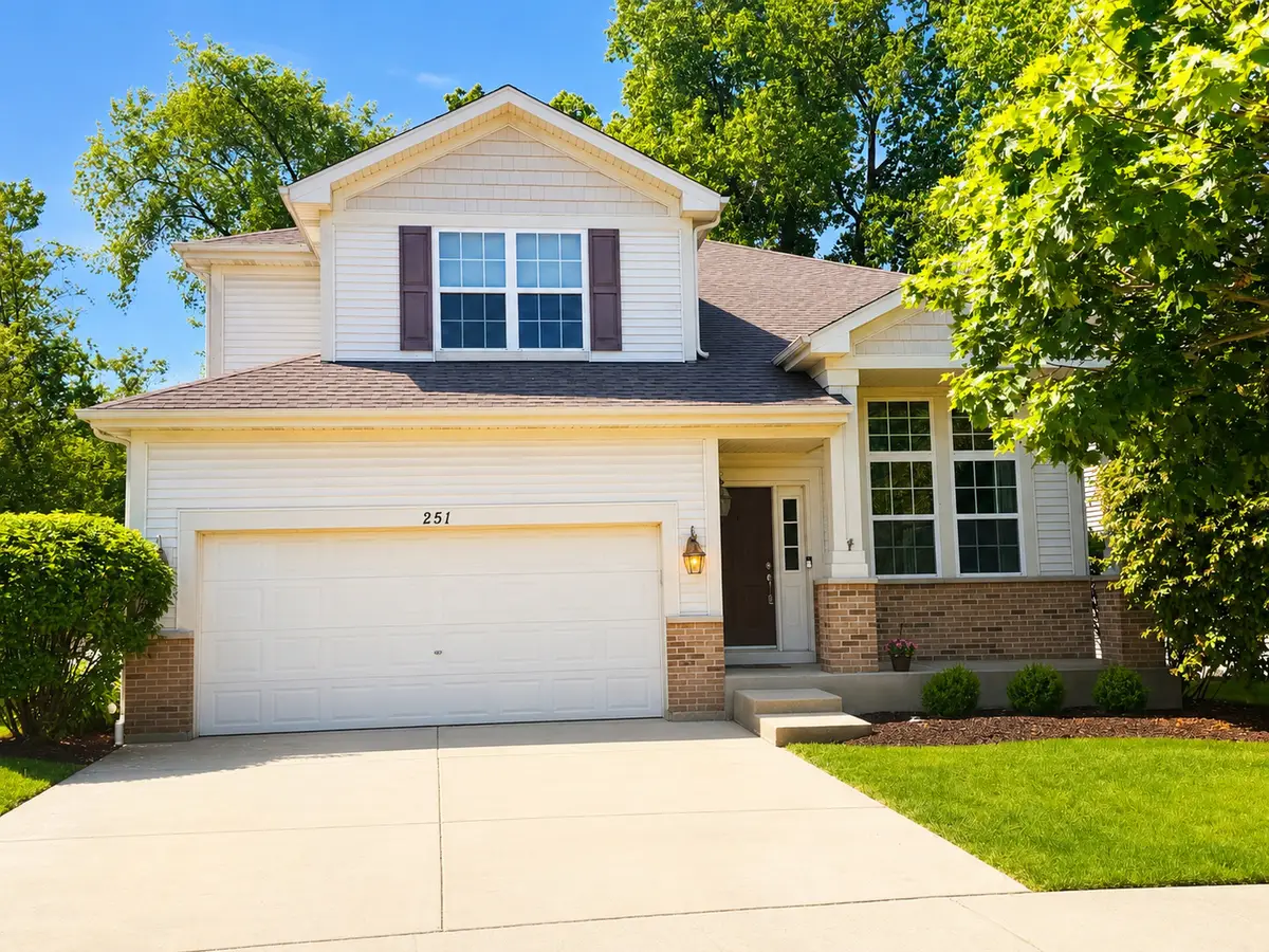 251 S Cornerstone Drive, Volo, IL 60020 - #1