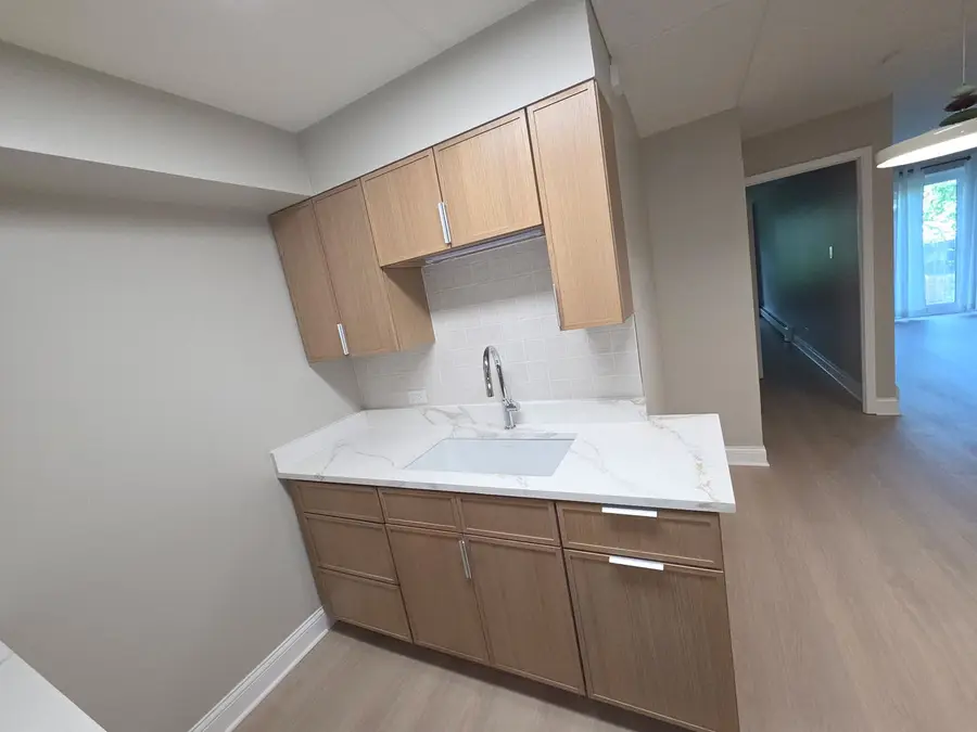 5125 Blodgett Avenue #211T, Downers Grove, IL 60515 - #3