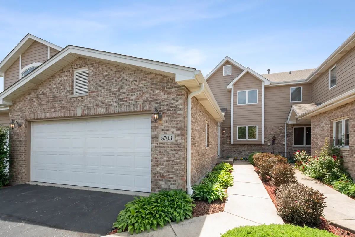 8703 Cashel Lane, Tinley Park, IL 60487 - #1