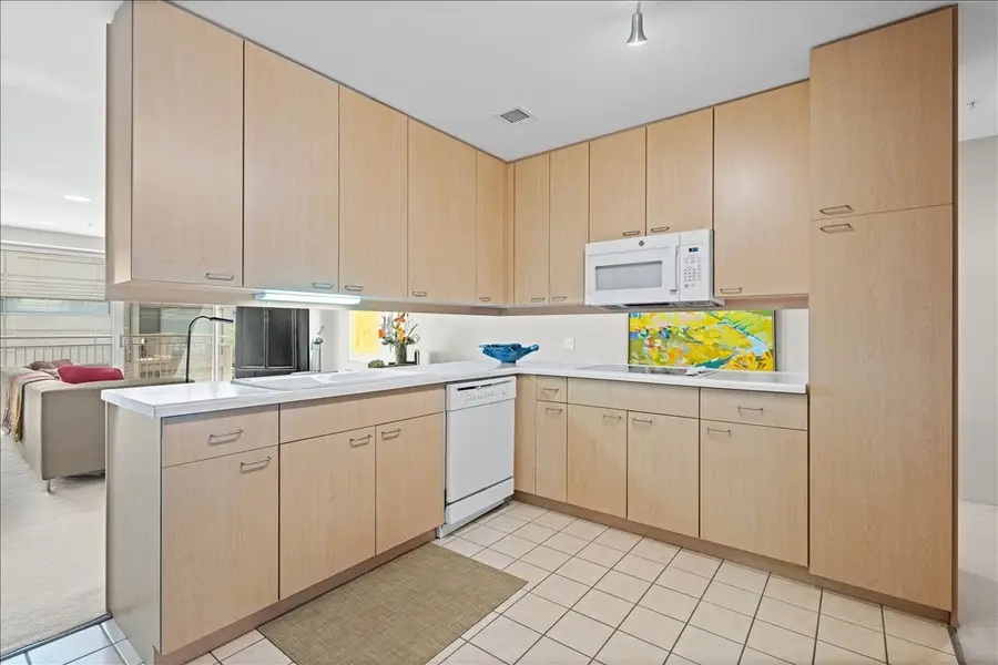 705 11th Street #316, Wilmette, IL 60091 - #2