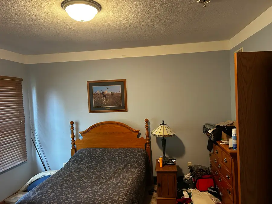 125 W 1st Street, Braidwood, IL 60408 - #3