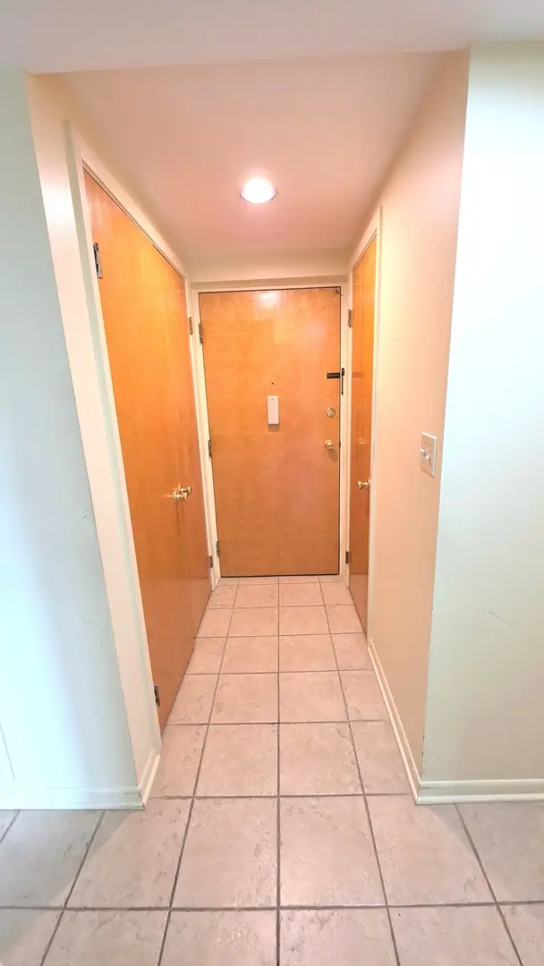 5300 Walnut Avenue #19C, Downers Grove, IL 60515 - #3