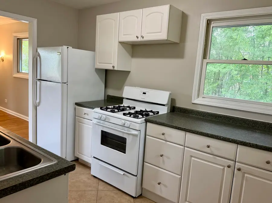 12 Johnathan Road, Lake Zurich, IL 60047 - #2