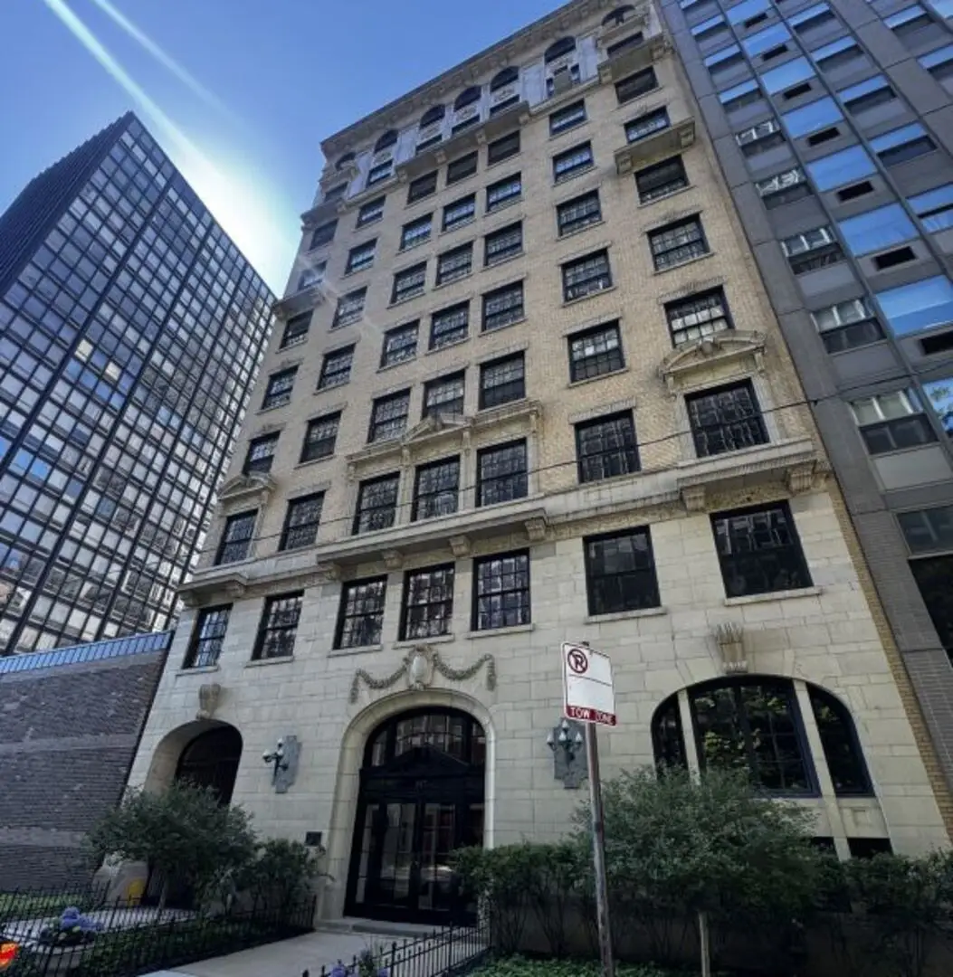 257 E Delaware Place #1A2A, Chicago, IL 60611 - #1