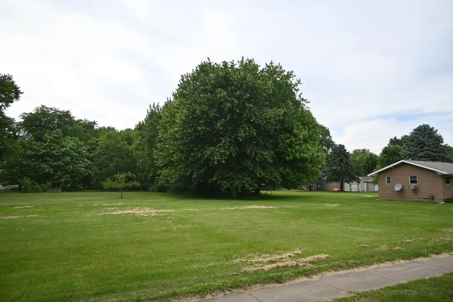 285 N Mitchell Street, Braidwood, IL 60408 - #3