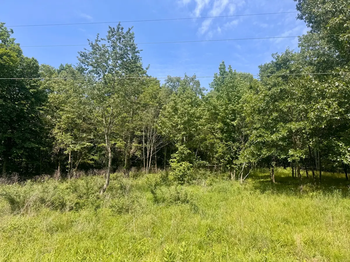 000 Shawnee Drive, Goreville, IL 62939 - #1