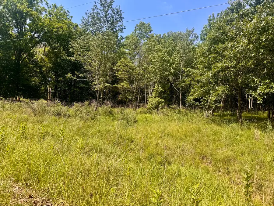 000 Shawnee Drive, Goreville, IL 62939 - #2