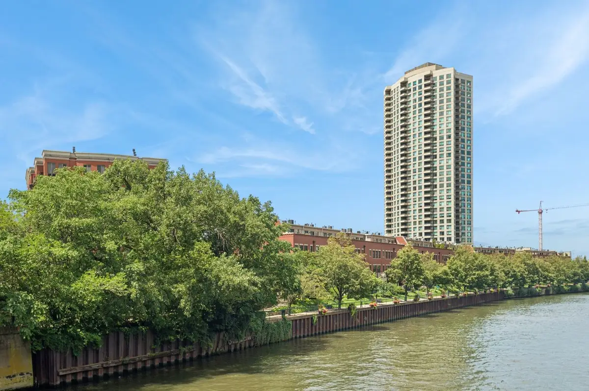 484 N Canal Street, Chicago, IL 60654 - #1