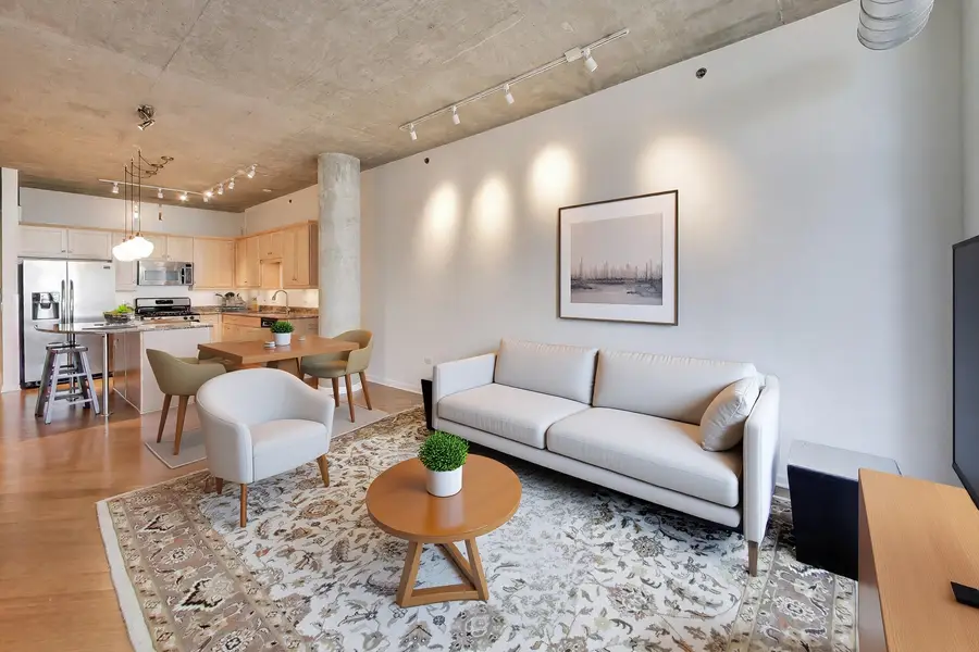125 E 13th Street #1103, Chicago, IL 60605 - #3