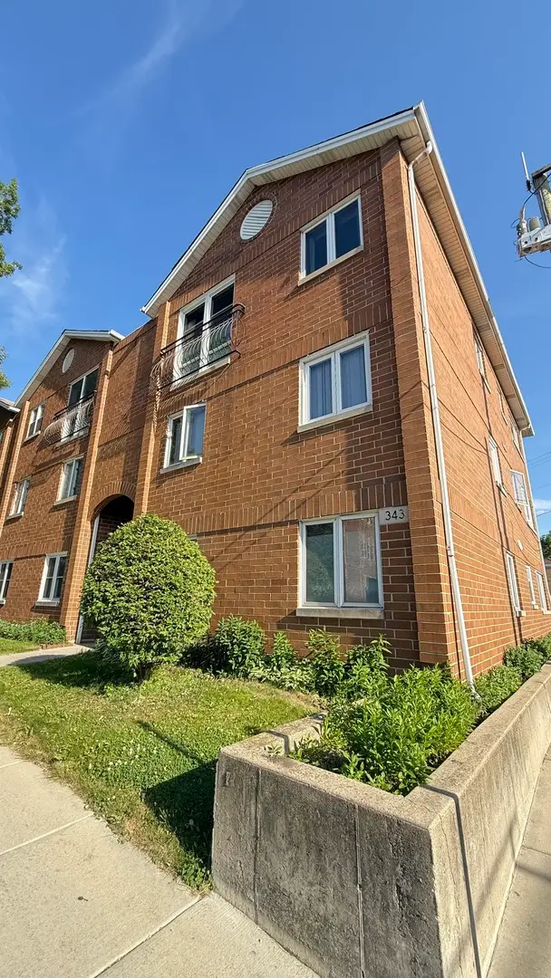 343 W 24th Street #1F, Chicago, IL 60616 - #3