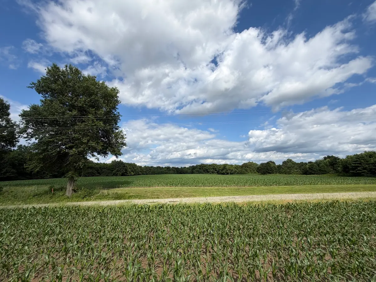 0 Landmark Road, Iuka, IL 62899 - #1