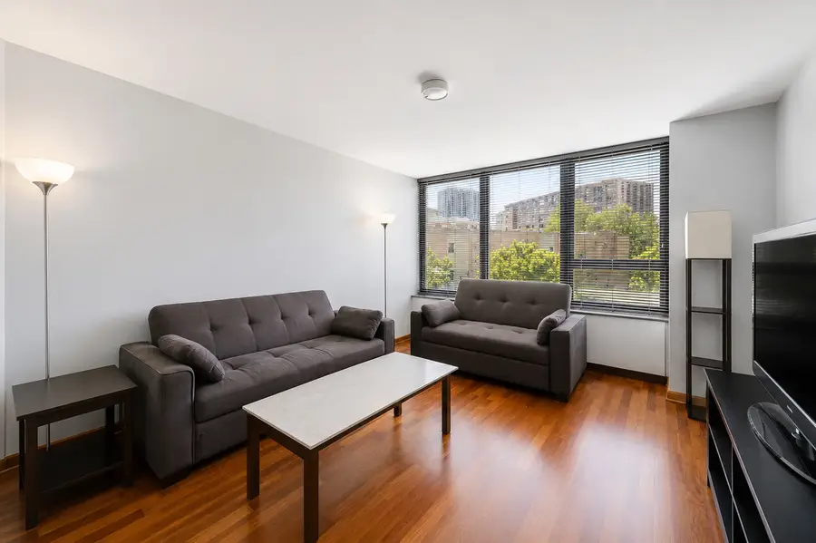 3930 N Pine Grove Avenue #316, Chicago, IL 60613 - #2