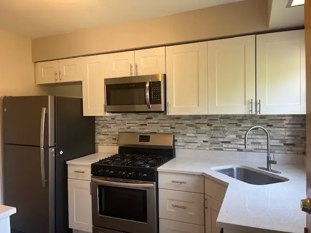 4825 Hull Street #3E, Skokie, IL 60077 - #3