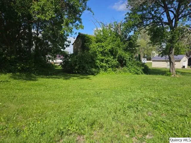 Corner of 4th & Cedar Street, Dallas City, IL 62330 - #1