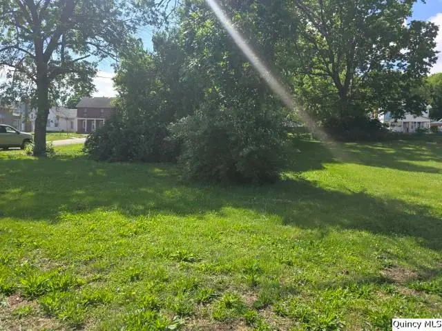 Corner of 4th & Cedar Street, Dallas City, IL 62330 - #2