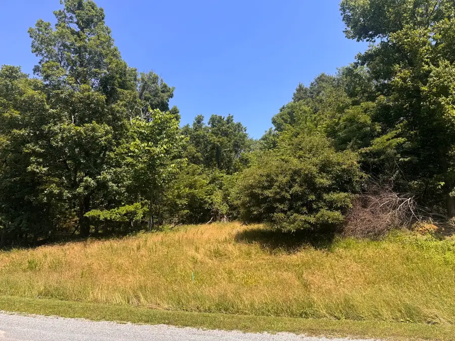 Lot 273 & 274 Rocky Point Road, Goreville, IL 62939 - #2