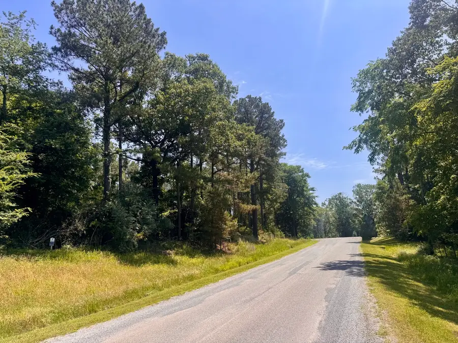 Lot 273 & 274 Rocky Point Road, Goreville, IL 62939 - #3