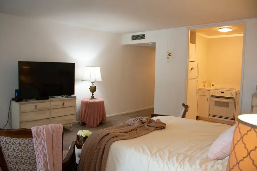 260 E Chestnut Street #409, Chicago, IL 60611 - #3