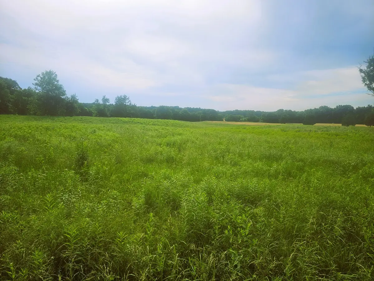 0000 N Stanford Lane, Opdyke, IL 62872 - #1