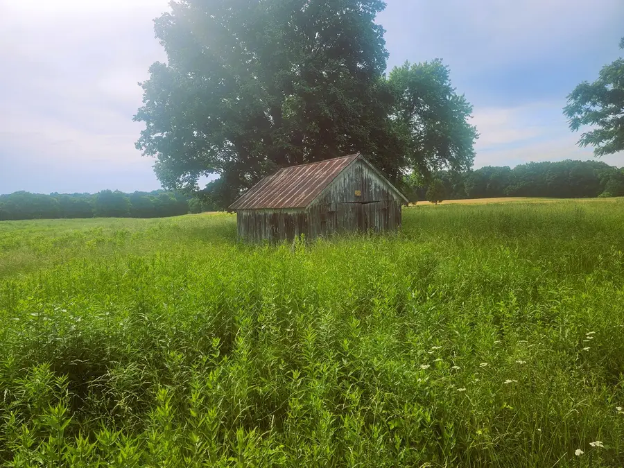 0000 N Stanford Lane, Opdyke, IL 62872 - #2