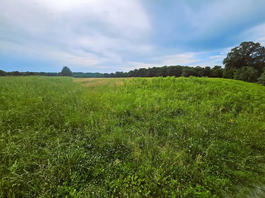 0000 N Stanford Lane, Opdyke, IL 62872 - #3